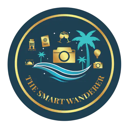 Smart Wanderer