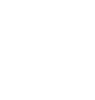Zbiz Solutions Logo